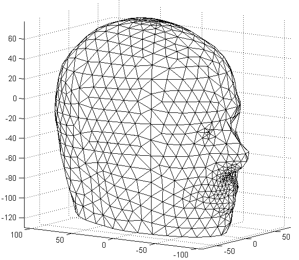 SAH028-mesh