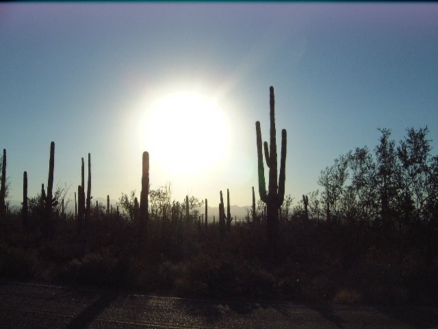 saguarontlpark2_9467.jpg